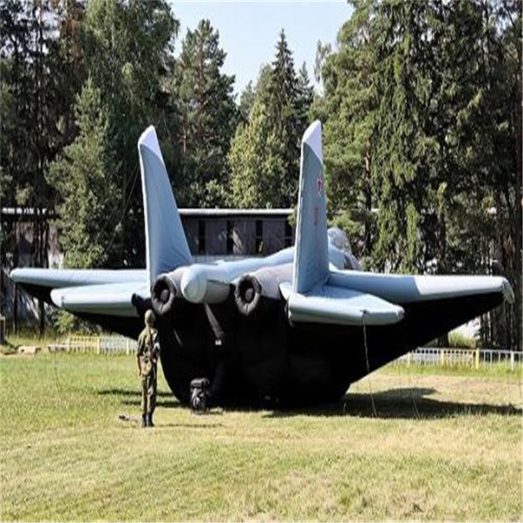 沧州充气飞机模型